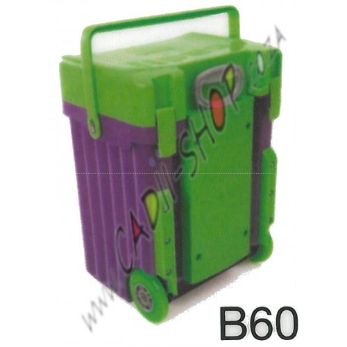 Cadii School Bag - B60 (Green Lid - Purple Body)